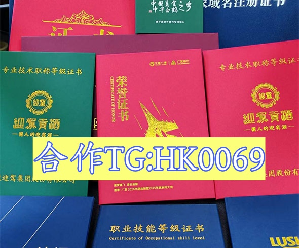 哪里可以制作高中文凭